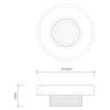 Decor Walther Century STS Мыльница настольная, прозрачное стекло, цвет: золото матовое