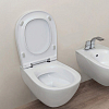 Flaminia Io/Io 2.0 Унитаз подвесной 55x38xh32см, цвет: белый глянцевый