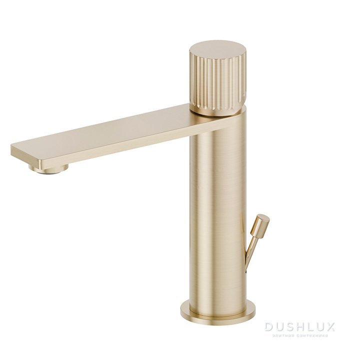 Фото Newform Steel Line Смеситель для раковины, 1 отверстие, с донным клапаном, цвет: pvd brushed pale gold
