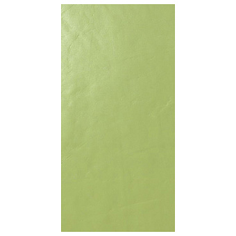 Casalgrande Padana Architecture Керамогранит 30x60см., универсальная, цвет: acid green gloss