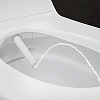 Geberit AquaClean Tuma Comfort Унитаз-биде подвесной 55х36см, цвет: стекло/белый