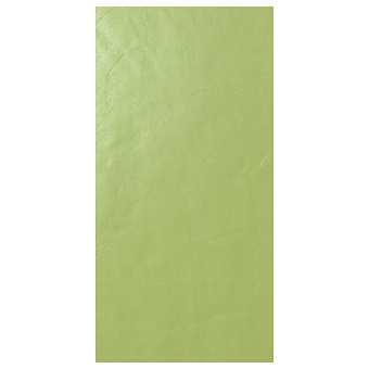 Casalgrande Padana Architecture Керамогранит 45x90см., универсальная, цвет: acid green gloss