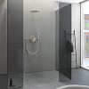 Grohe Rainshower Cosmopolitan Верхний душ 31см., настенный, цвет: никель матовый