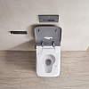 Arrow Glacier Унитаз Smart 41x60см, с функцией биде, подвесной, безободковый, клавиша смыва, цвет: темно-серый