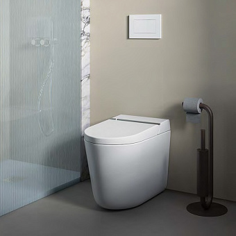 Artceram Hype Унитаз-биде 38x59см., напольный, безободковый, saniglaze, soft-close, с пультом управления, цвет: белый матовый