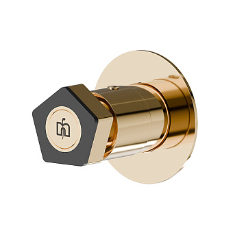 Newform ParkLE Запорный вентиль, встраиваемый, цвет: PVD glossy gold/черный матовый