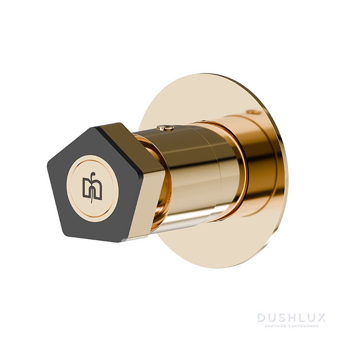 Фото Newform ParkLE Запорный вентиль, встраиваемый, цвет: PVD glossy gold/черный матовый