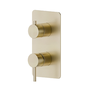 Newform X-Steel 316 Смеситель для душа, встраиваемый, на 2 потока, цвет: PVD brushed pale gold
