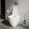 Laufen INEO AIR Клавиша смыва, цвет: хром матовый