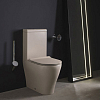 Flaminia APP PLUS Унитаз моноблок, 58x36xh:43см, goclean®, цвет: argilla