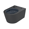 TOTO RP Унитаз 38x58см., подвесной, безободковый, сиденье Washlet RW, цвет: чёрный матовый