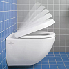 Villeroy&Boch Hommage Сиденье с крышкой для унитаза, с микролифтом, нерж. сталь, цвет: ярко-белый