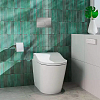 TOTO Washlet RW Сиденье 57.9x39.1x10.8см, с дистанционным управлением, для унитаза CW542/CW563, цвет: белый/серебро