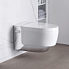 Geberit AquaClean Mera Comfort Подвесной унитаз-биде 59х36см, цвет: глянцевый хром