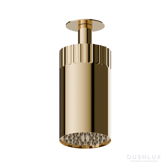 Фото Newform Ionika wellness Потолочный душ 10см, режим дождь, цвет: PVD glossy gold