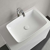 Villeroy&Boch Artis Раковина 58x38.5x13см., накладная, цвет: Sage Green