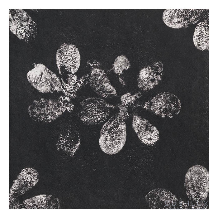 Фото Mutina Chymia Керамогранит 30x30см, ophelia, универсальный, глазурованный, цвет: black