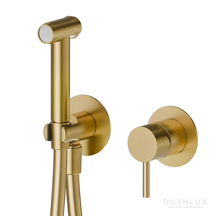 Фото Newform X-Stell 316 Гигиенический душ с держателем и шлангом 120см., цвет: PVD Br. Gold
