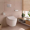 TOTO Washlet RW Сиденье 57.9x39.1x10.8см, с дистанционным управлением и автосмывом, для унитаза CW542/CW563, цвет: белый/серебро