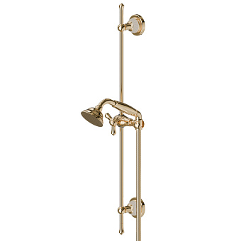 Newform Deluxe Душевой гарнитур: штанга, ручной душ, шланг 150см., цвет: gold