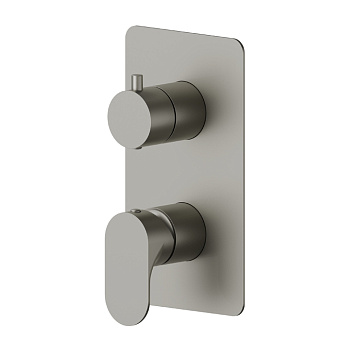 Newform Linfa II Смеситель для душа, встраиваемый, на 2 потока, цвет: titanium satin