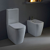 Flaminia Play Унитаз-моноблок 58x43см, напольный, безободковый, с горизонтальным выпуском, цвет: Azzurro Polvere