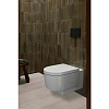 Duravit Balcoon Сиденье для унитаза, с микролифтом, цвет: сталь/белый глянцевый