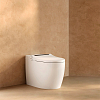 Arrow Pollux Унитаз Smart 40x68см, с функцией биде, напольный, безободковый, цвет: белый