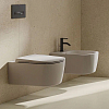 Kludi Resa D Унитаз 36x55см., подвесной, безободковый, с сиденьем-крышкой микролифт, цвет: белый