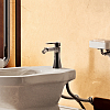 Flaminia Evergreen Смеситель для биде, на 1 отв., цвет: хром
