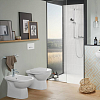 Villeroy&Boch O.novo Сиденье, с крышкой для унитаза, цвет: альпийский белый