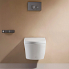 Arrow Pollux Унитаз Smart 34x60см, с функцией биде, подвесной, безободковый, цвет: белый