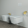 Ideal Standard Conca Держатель для туалетной бумаги., с крышкой, цвет: PVD Brushed Gold