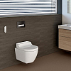 Geberit AquaClean Tuma Comfort Унитаз-биде подвесной 55х36см, цвет: стекло/белый