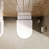 Duravit Balcoon Сиденье для унитаза, с микролифтом, цвет: сталь/белый глянцевый