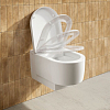 Duravit Balcoon Сиденье для унитаза, с микролифтом, цвет: сталь/белый глянцевый