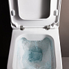 LAUFEN Pro S Сиденье для унитаза, цвет: белый/микролифт