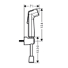 Hansgrohe Гигиенический душ, настенный, 1 jet, цвет: хром