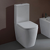Flaminia Play Унитаз-моноблок 58x43см, напольный, безободковый, с горизонтальным выпуском, цвет: Bianco
