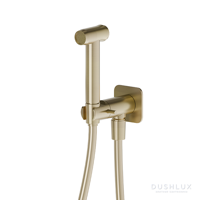 Фото Newform X-Steel 316 Гигиенический душ с ручной лейкой и держателем, цвет: PVD Brushed pale gold