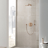 Grohe Rainshower Cosmopolitan Верхний душ 31см., настенный, цвет: warm sunset