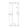 CEA Design FREE IDEAS Штанга для душа с конусообразным держателем для ручного душа, настенная, цвет: нержавеющая сталь