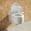 Duravit Balcoon Сиденье для унитаза, с микролифтом, цвет: сталь/белый глянцевый