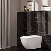 Villeroy & Boch ViConnect, Кнопка смыва, размер 253 x 145 x 20 mm, цвет: черный
