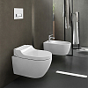 Geberit AquaClean Tuma Comfort Унитаз-биде подвесной 55х36см, цвет: стекло/белый