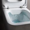 LAUFEN Pro S Сиденье для унитаза, цвет: белый/микролифт
