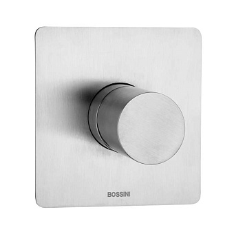 Bossini Inox Смеситель для душа на 1 выход, цвет: сталь брашированная