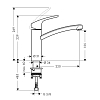 Hansgrohe Focus Смеситель для кухни, на 1 отв., поворотный излив 220мм, h155мм, 1jet, цвет: под сталь