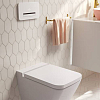 Villeroy&Boch ViConnect Кнопка смыва для унитаза, с подсветкой, цвет: глянцевый белый