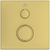 Ideal Standard Ceratherm C100 Смеситель для душа, встраиваемый, термостатический, цвет: PVD Brushed Gold (Шлифованное Золото)